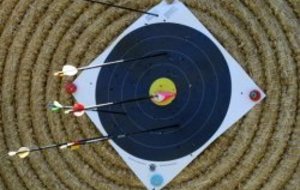 Tir du roi 14 mai 2011