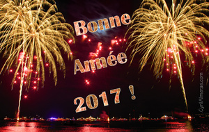 BONNE ET HEUREUSE ANNEE 2017
