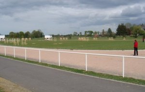 DSC02316 [800x600].jpg