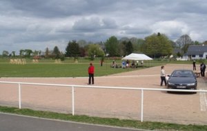 DSC02317 [800x600].jpg