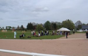 DSC02318 [800x600].jpg