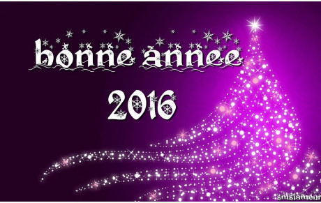 BONNE ET HEUREUSE ANNEE 2016