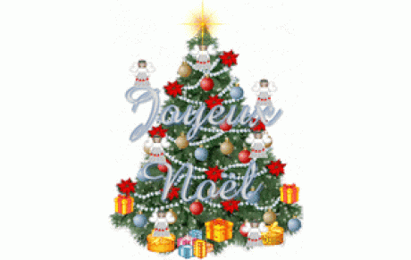  	JOYEUX NOEL ET BONNES FETES DE FIN D'ANNEE